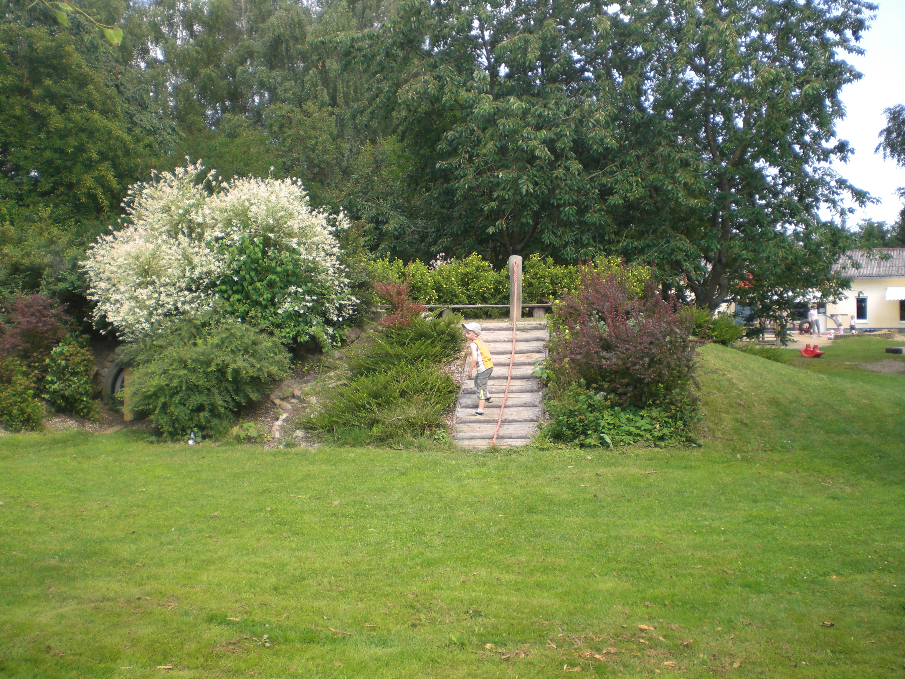 Bewegungshügel.JPG