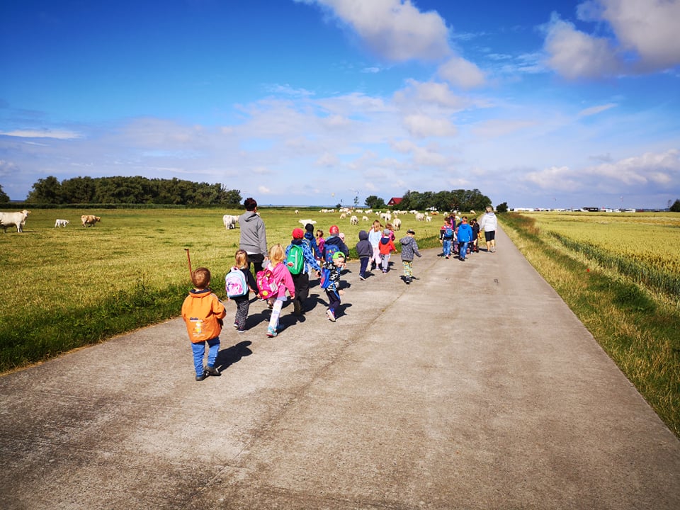 Spaziergang zum Bodden